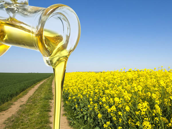 Edible Oil Oxidation Monitoring with microESR