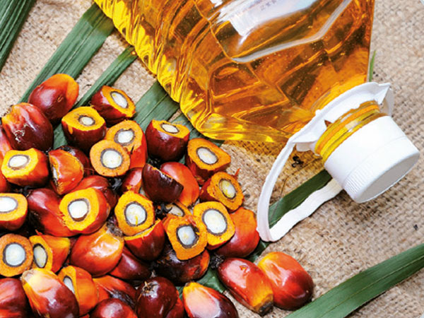 Fourier Transform Near Infrared Spectroscopy for the Palm Oil Industry