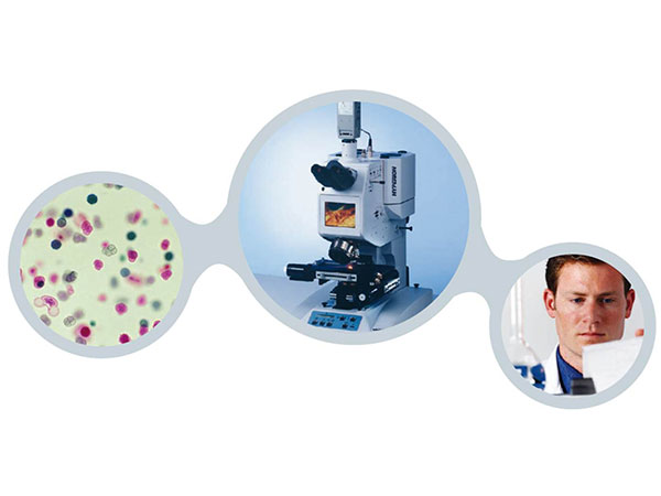 Defect analysis using FT-IR microscopy