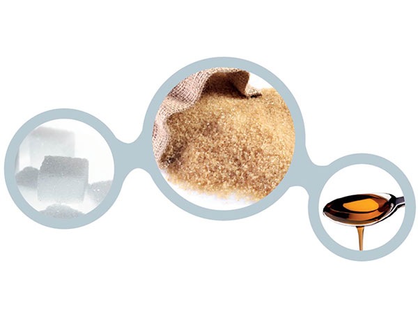 FT-NIR Spectroscopy for the Sugar Industry