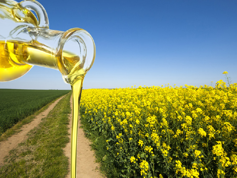 Edible Oil Oxidation Monitoring with the microESR